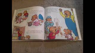 The Berenstain Bears Get In A Fight  Narration [upl. by Hannover849]