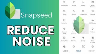 How to Reduce Noise in SnapSeed 2024 [upl. by Arykat4]