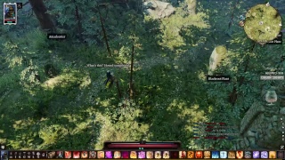 Divinity Original Sin 2 Definitive Edition on SoloSummonerTactician Part 7 [upl. by Gentille]