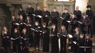 A Bruckner Motette quotChristus factus estquot Vokalensemble ZERONOVE [upl. by Ronym]