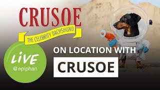 On location with Crusoe the Celebrity Dachshund [upl. by Ilera]