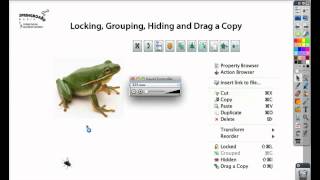 ActivTips  Grouping Hiding and Locking Images [upl. by Lord]