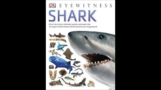 Flip Through DK Eyewitness  SHARK book  Home school Learn Science Resources [upl. by Abelard242]