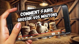 Recette Naturelle Pour Faire Grossir Vos Moutons 🐑🍃 [upl. by Sualokin]