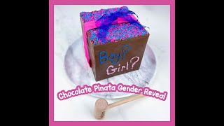 Fun Gender Reveal with Chocolate Piñata [upl. by Nevla]