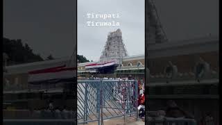 song tirumalatemple tirupati tirumala govinda love [upl. by Hubble651]