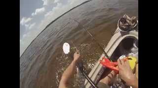 Kayaking Shark Fishing at Ruskin Florida [upl. by Aggappe]