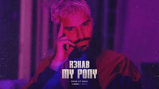 R3HAB  My Pony R3HAB VIP Remix Official Visualizer [upl. by Zolly932]