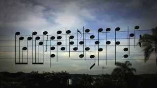 Amazing Music by the Birds on a Wire [upl. by Trant]