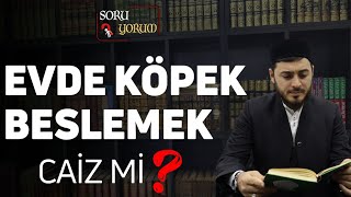 Evde Köpek Beslemek Caiz mi  Abdulkadir DAL [upl. by Tavie]