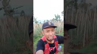 trail run travelvlog trailer trailrun pendaki cikuray tapakgerot [upl. by Nnairek]