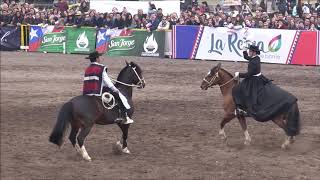 Semana de la Chilenidad Cueca Horse dance [upl. by Eerb]