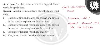 Assertion Areolar tissue serves as a support frame work for epithelium Reason Areolar tissue [upl. by Pearle]