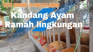 Kandang Ayam kampung Modern itu wajib tidak Bau Beternak Ayam Ramah lingkungan [upl. by Colston]