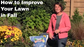 How to Improve Your Lawn in Fall [upl. by Aleicarg967]