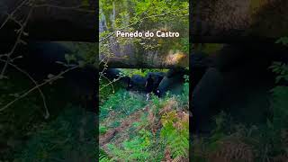 Ponteareas Pontevedra 🐶🐶🪨💚💚dog nature hiking galicia senderismo travel bordercollie [upl. by Sert906]