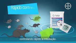 Como eliminar ratos Rodilon Soft Bait a Solução Bayer  vídeo 1 [upl. by Llehctim971]