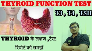 Thyroid Function Test  T3 T4 TSH Test Report Normal Range  Symptoms Of Thyroid [upl. by Fink610]