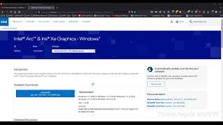 Windows1110IntelIntel® Arc™ amp Iris® Xe Graphics  Windows V32010161273201016044 [upl. by Anoynek]