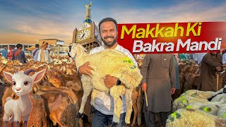 Bakra Mandi in MAKKAH 🐪 🐏 HAJJ 2024 Eid al Adha in Makkah Saudi Arabia [upl. by Mcgee354]