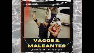 Vagos amp Maleantes  Doctrina callejera Audio x La Corte  Straight From The Cloacas [upl. by Afatsom]