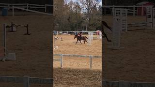 2024 Winter Jumping Derby Round 2 on My Nightingale [upl. by Ecnarf]