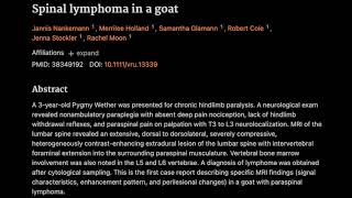 8 Spinal lymphoma in a goat [upl. by Faletti24]