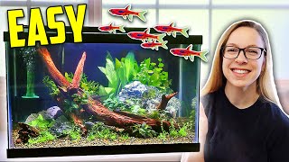 How to Set Up a 10 Gallon Planted Tank Aquascape Tutorial [upl. by Hogen181]