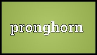 Pronghorn Meaning [upl. by Rotceh590]