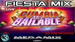 MIX CUMBIAS BAILABLES VOL 3 DJ YANG EXCLUSIVO [upl. by Adriell]