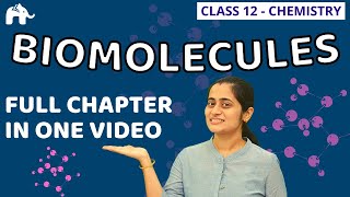 Biomolecules Class 12 Chemistry  NCERT Chapter 14  One Shot CBSE NEET JEE [upl. by Llirred655]