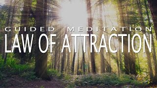 Law of Attraction Meditation for Deep Positivity amp Abundance Guided Meditation 20 Minutes [upl. by Aromas]