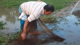 চট্টগ্রামের মধ্যম মোহরায় এখন আর মেলেনা দেশীয় প্রজাতির মাছ। বৈশাখী নিউজ২৪নেট [upl. by Petulia]