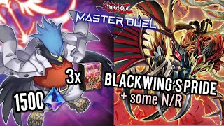 TOP 16 REGIONAL  BEST BLACKWING DECK PROFILE [upl. by Redvers]