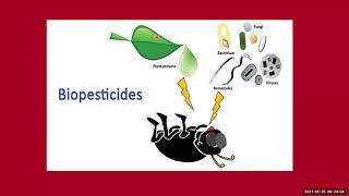 Biopesticides Part 1 [upl. by Werdna]