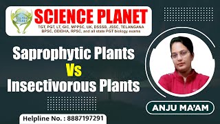 Saprophytic Plants Vs Insectivorous Plants by Anju Mam SaprophyticPlants InsectivorousPlants [upl. by Essilec470]