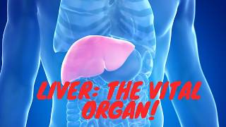 Liver Physiology Explained The Organ You Cant Live Without [upl. by Rocher]