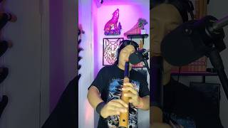 Wakan Tanka cover nativeamericanflute flute music nativemusic duet [upl. by Aissat783]