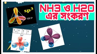 ৭। NH3 ও H2O এর সংকরণ ।। Hybridization of NH3 amp H2O [upl. by Refotsirk]