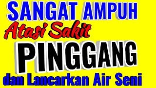 Tips AmpuhMenyembuhkan Sakit Pinggang juga melancarkan Air Seni Dengan Rebusan Kumis Kucing [upl. by Nanerb622]