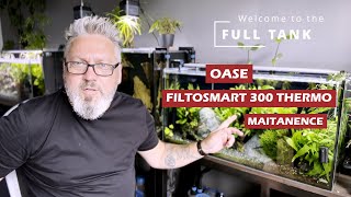 OASE FiltoSmart 300 thermo maintanence [upl. by Einial639]