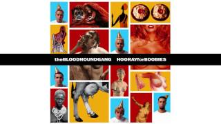 Bloodhound Gang Feat Chasey Lain  RSVP [upl. by Bradlee355]