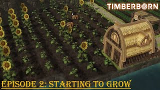 Timberborn Episode 2 Starting to Grow [upl. by Aniehs]