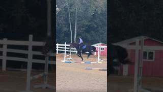 bouncezzz 🤣🩷 corwin was fantastic per usual 🫶🥰 fyp horse eq sub pony [upl. by Remark3]