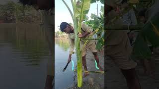 Chhath Ghat Banate Hue song music newsong love youtubeshorts lyrics chhathchhathpuja [upl. by Sherborn]