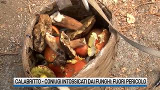 Funghi velenosi Estubati e coscienti gli anziani intossicati [upl. by Hgierb977]