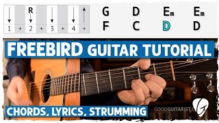 Easy Freebird Acoustic Guitar Lesson  Simplified Strumming amp Barre Chord Hack for Beginners [upl. by Wrigley]