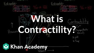 What is contractility  Circulatory system physiology  NCLEXRN  Khan Academy [upl. by Brockwell]