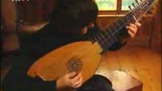 Edin Karamazov Lute  JSBach Toccata amp Fugue part 1 [upl. by Oeram]