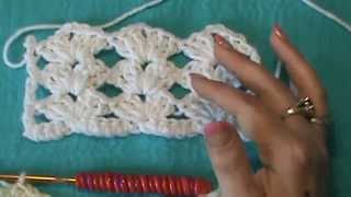 How to Crochet the quotLacy Shell Stitchquot [upl. by Nonah]